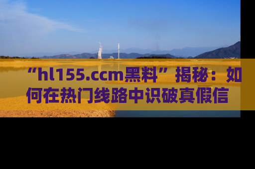 “hl155.ccm黑料”揭秘:如何在热门线路中识破真假信息