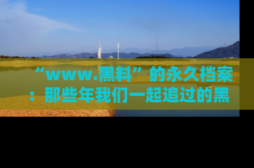 “www.黑料”的永久档案:那些年我们一起追过的黑料真相