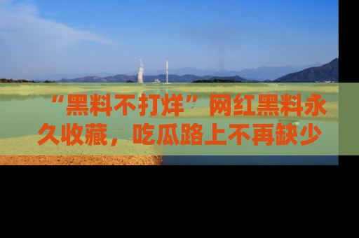 “黑料不打烊”网红黑料永久收藏,吃瓜路上不再缺少惊喜与乐趣