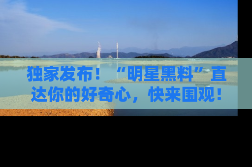 独家发布！“明星黑料”直达你的好奇心，快来围观！