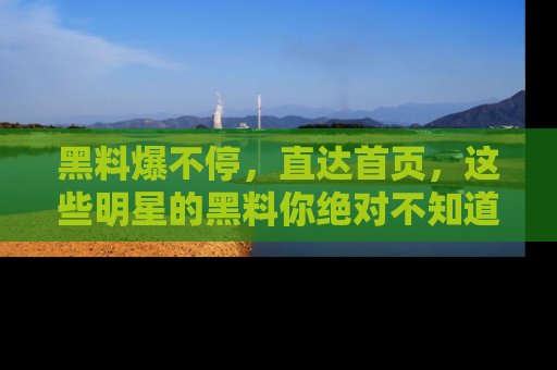 黑料爆不停，直达首页，这些明星的黑料你绝对不知道！