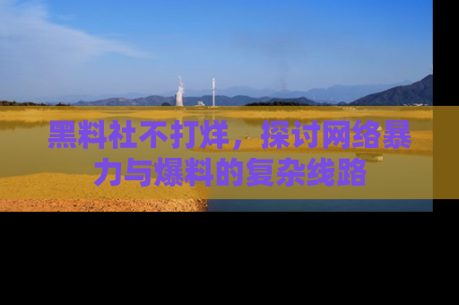 黑料社不打烊，探讨网络暴力与爆料的复杂线路