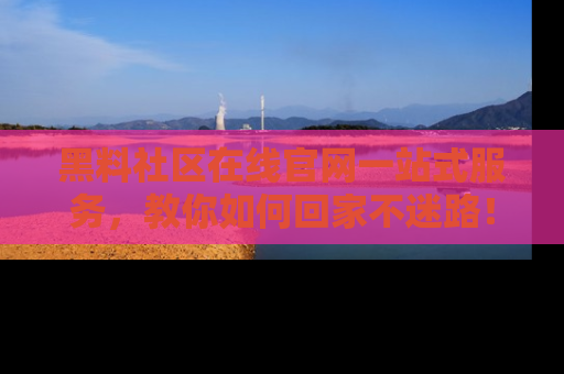黑料社区在线官网一站式服务，教你如何回家不迷路！