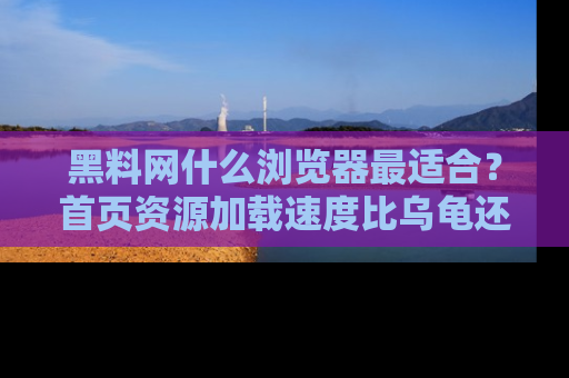 黑料网什么浏览器最适合？首页资源加载速度比乌龟还慢的体验真心吐槽！