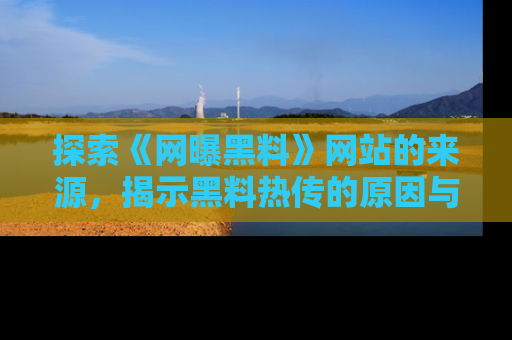 探索《网曝黑料》网站的来源,揭示黑料热传的原因与影响