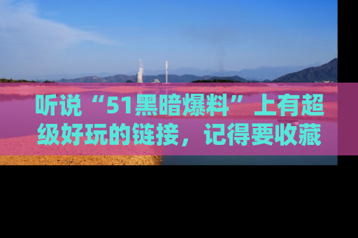 听说“51黑暗爆料”上有超级好玩的链接，记得要收藏哦！