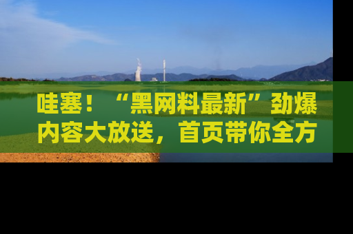 哇塞！“黑网料最新”劲爆内容大放送，首页带你全方位了解哦，小可爱们