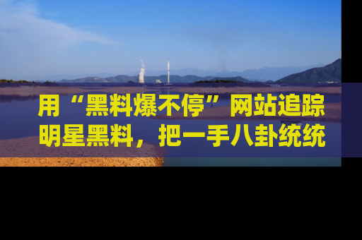 用“黑料爆不停”网站追踪明星黑料，把一手八卦统统收进你的后宫中！