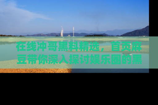 在线冲哥黑料精选，首页麻豆带你深入探讨娱乐圈的黑暗面